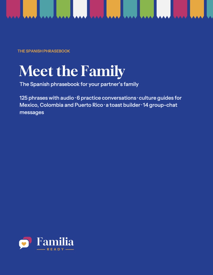Meet the Family cover